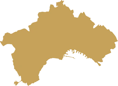 Naples Map